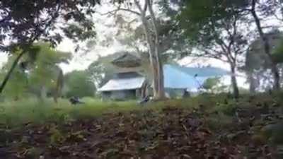 Video of 7 magnitude earthquake in Taiwan (steady hands)