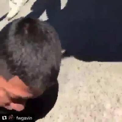 I was told that they guy in the grey was a boxer and was send juvenile or something