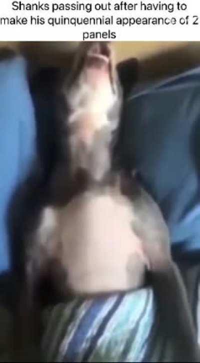 Mf comes, stares a bit, then leaves lmao