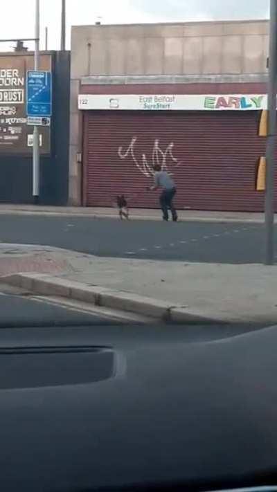 Just a normal day in B'Fast...