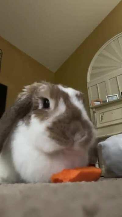 betty wants to start an asmr channel