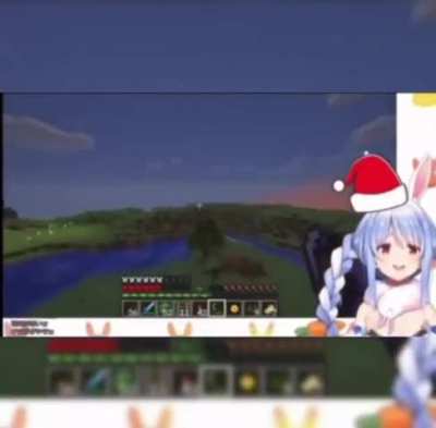 Average Pekora encounter