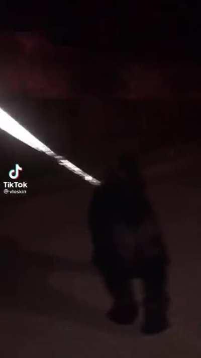 Finland ≠ Mongolia, unless😏😏😏