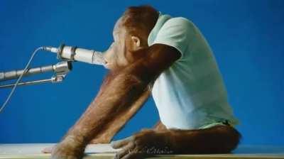 Real footage from r/peepeeshart mod webcams