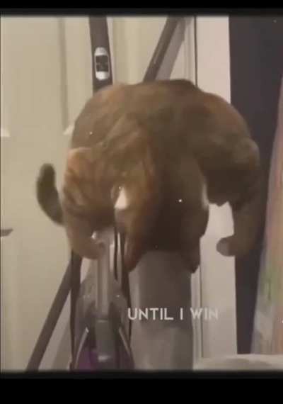 Peak Wunkspiration 💯💯💯