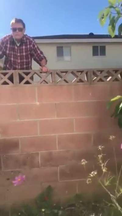 To cut a neighbour’s plant