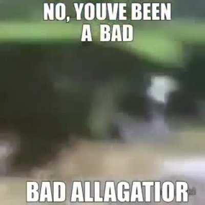Bad alligator