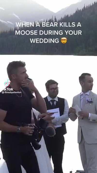 to have an idyllic wedding in nature. Warning graphic content.