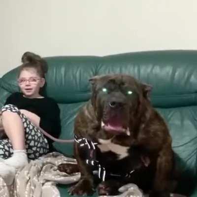 Orion, The hellhound