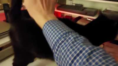 He's core bongos to some hard core gaming trance.