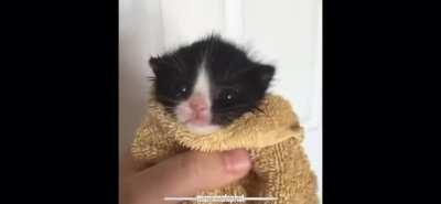 Give me a scream Corey