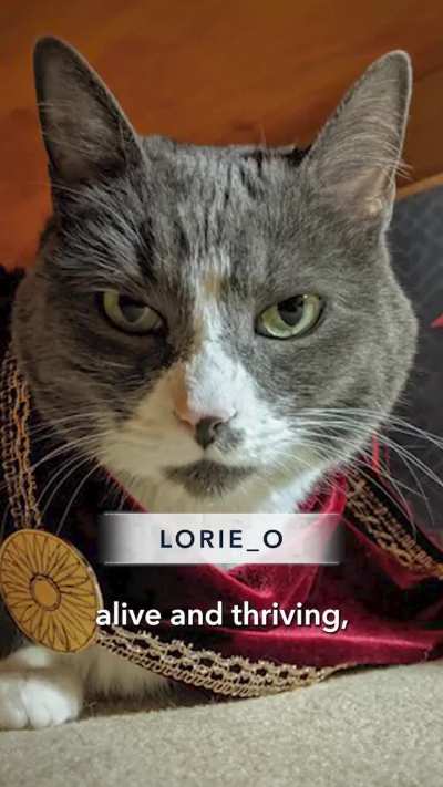 Melissanthi Mahut celebrates the 7th anniversary of Assassins Creed Odyssey