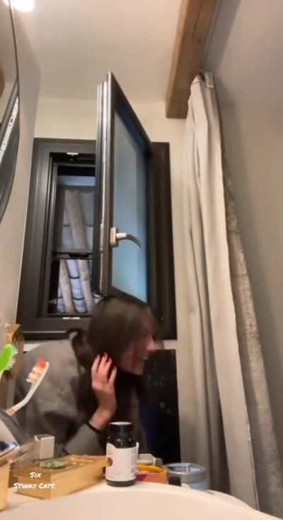 When your hooman is a moron