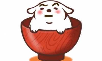 Otra frase que llevo a la cima al perrito en taza