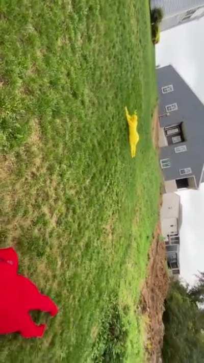 Thanks I Hate Twerking Teletubbies