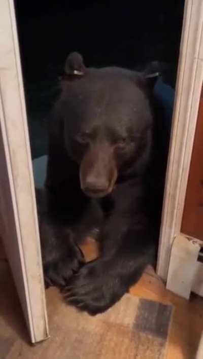 If not friend why friend shape