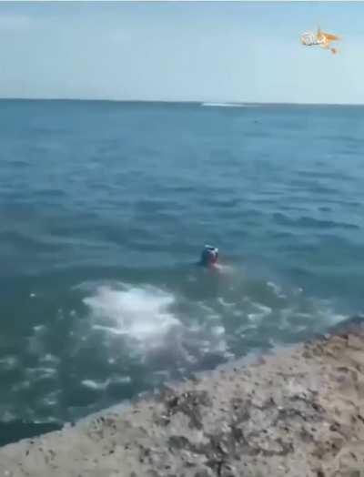 Rate this dive