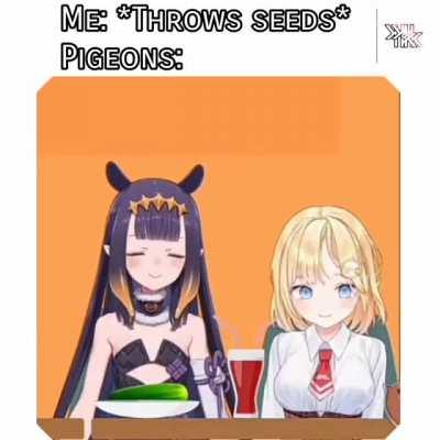 The other pigeon had a orange hair idk how