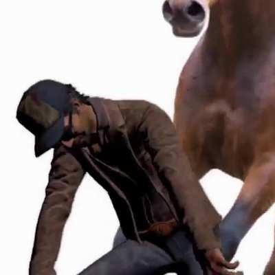 New Killer leak: 5G Horse (LEAK)
