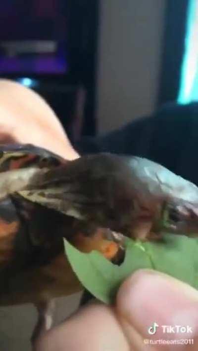 Alguém ainda tá on nesse sub?