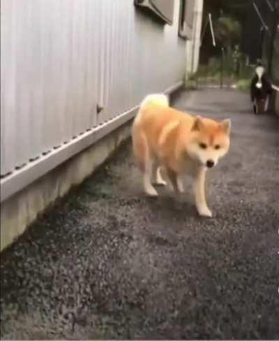 Bomb planted successfully