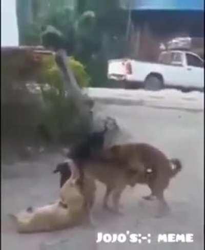 Post motivacional pra vcs 😎👌