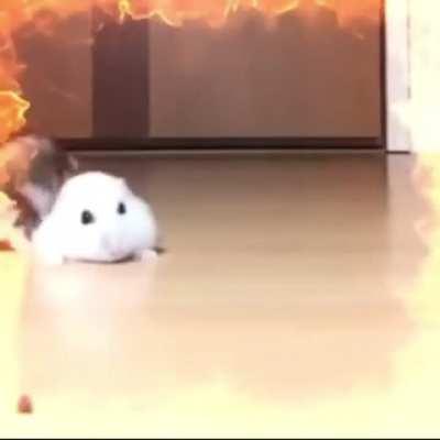 I had a dream I was having sex with a lady. More of a nightmare.