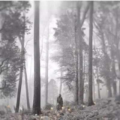 folklore album cover is now animated on Apple Music