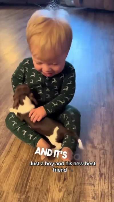 Found these Cute babies online 😍😍