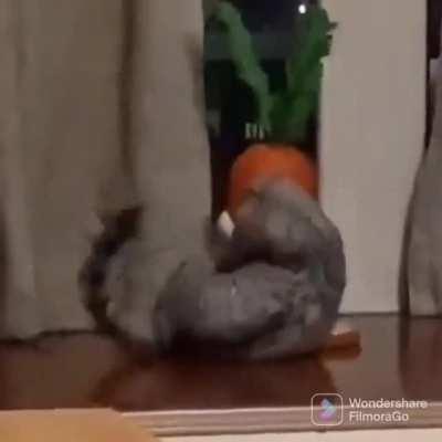 Fall, you giant freaking carrot!