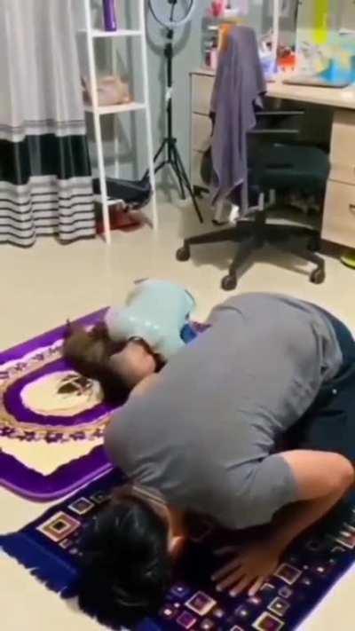 Please allow me to Pray. Cute baby vs cat