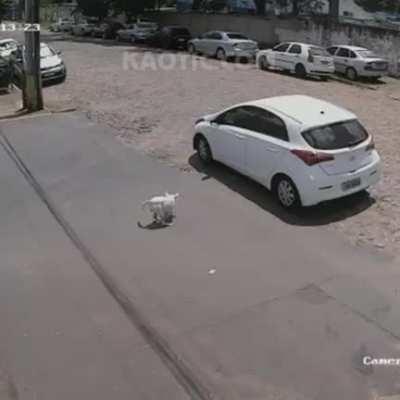 Here’s your sadness video of your day