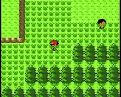 A Stickbug crossed your way