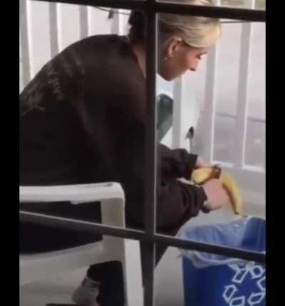 NPC doing NPC things.