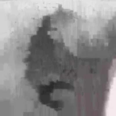 Sexy rat taking a shower video! 🤯