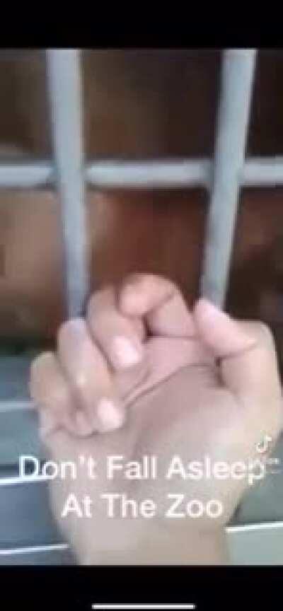 Josh...lending a hand