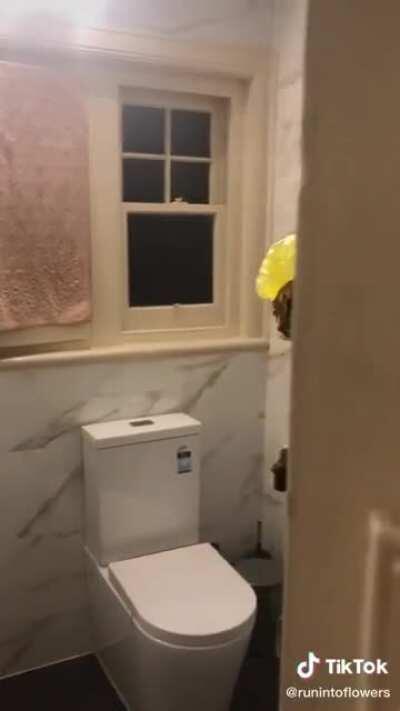 why you should always knock!! how dare he?!