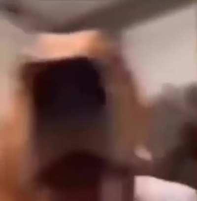 No seriously who ate all the goddamn donuts?