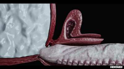 [F] [T] Japanese hottie gets tentacle creampied and throatpie