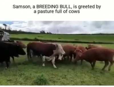 ONE word FOUR letters.