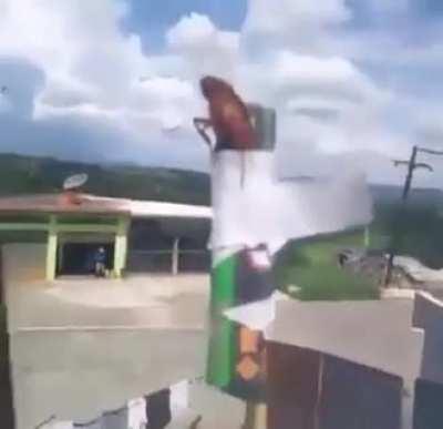 Primeira barata a ir para a lua