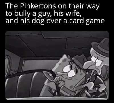 Who decided this was a good idea?