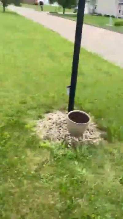 First time meeting a toad went better then expected 😁