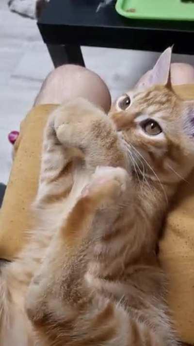 My pretty son funny on my lap😍