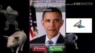 WHAT OBAMA CALLING?!?!?!?!?!? ماذالولماذالولماذاماذالولماذالولماذالولماذالولماذالولماذالولماذالولماذالولماذالول