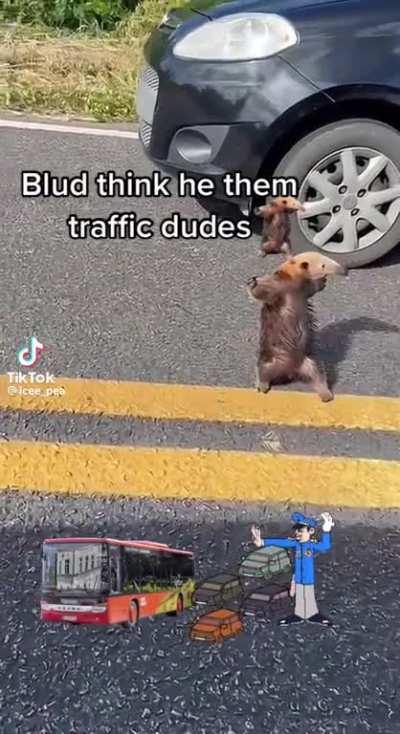 The cops trying to stop me from stealing (I'm Romanian)