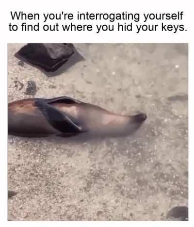 Never start with the head, the victim gets all fuzzy.