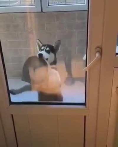 Сегодня будет туса