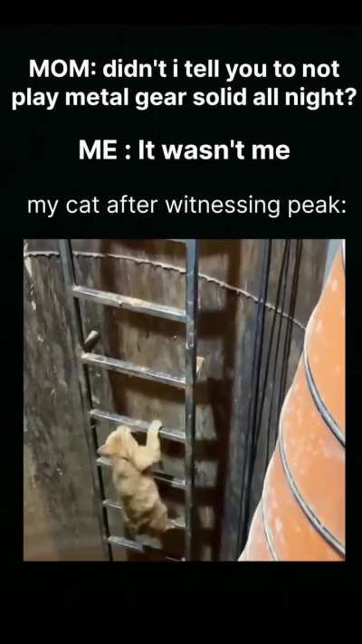 Metal Cat Solid: Mouse Eater