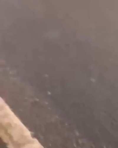 he tried to argue with the wrong car